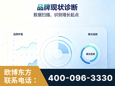 廉江-品牌现状诊断