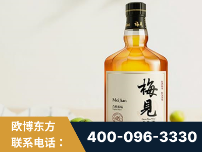 廉江-梅见青梅酒